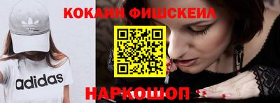 2c-b Кингисепп