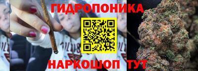 2c-b Кингисепп