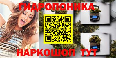 2c-b Кингисепп