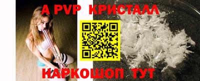 2c-b Кингисепп