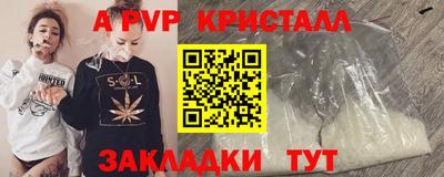 2c-b Кингисепп